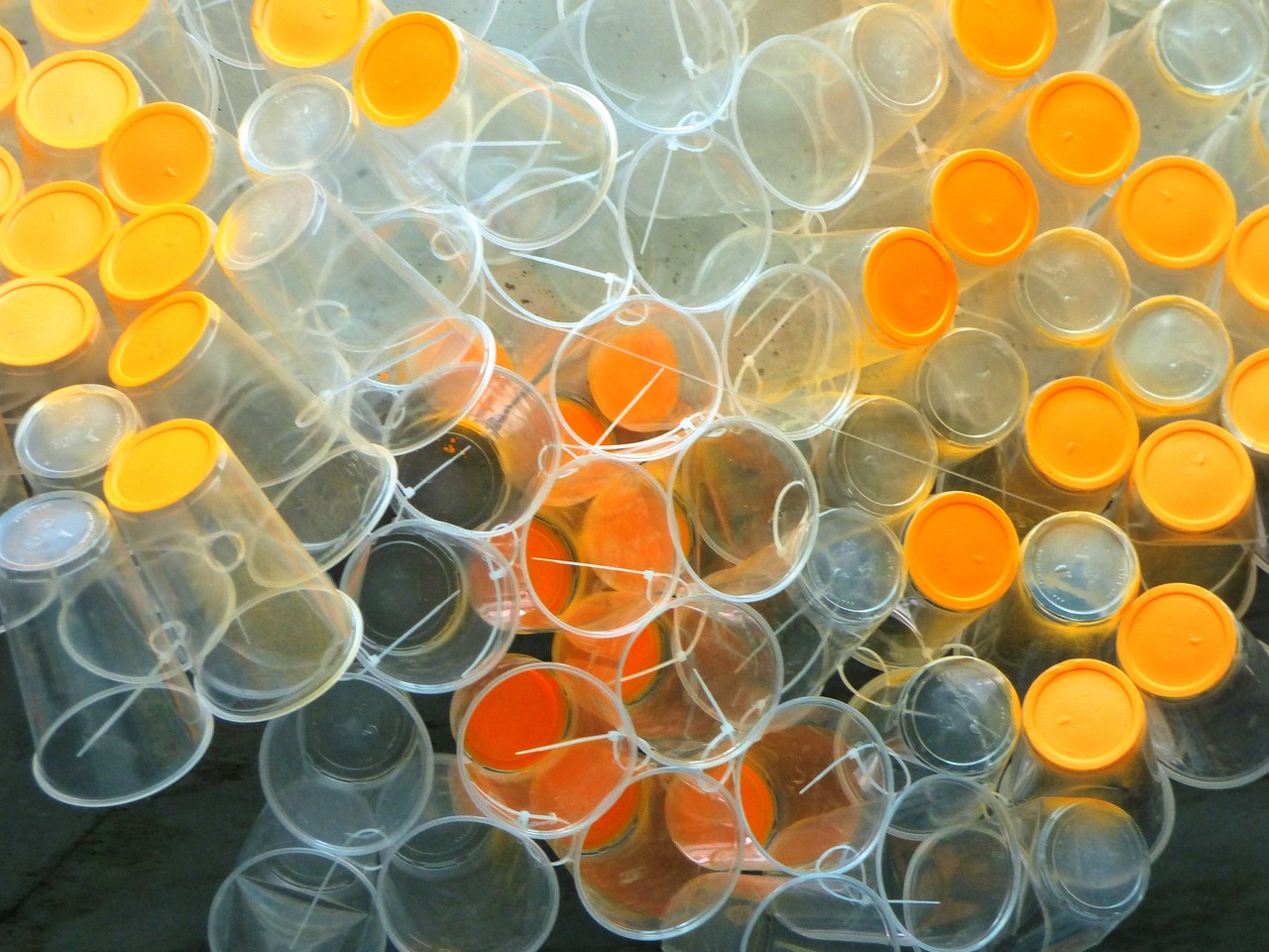 Innowacyjne podejście do branży opakowań plastikowych