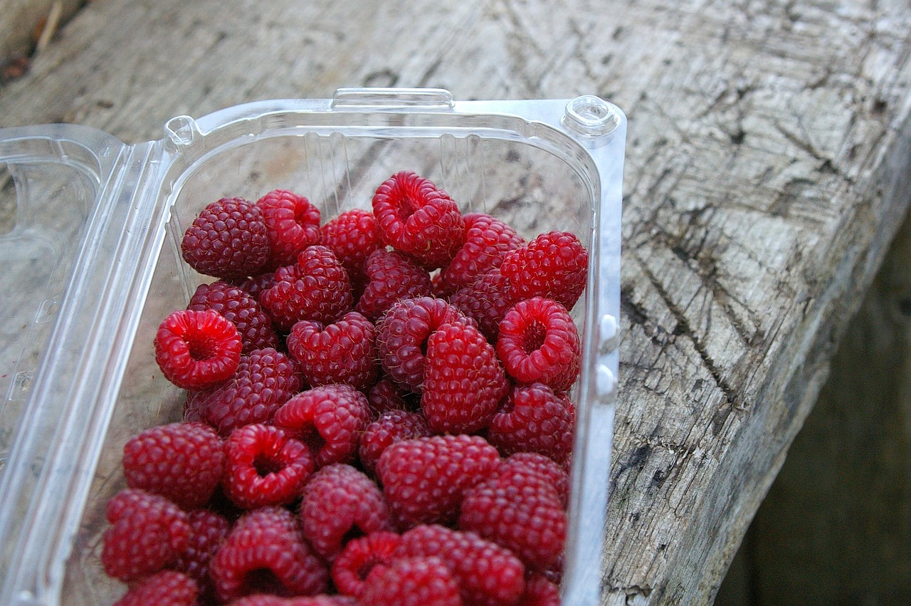 Zaawansowane technologie i zrównoważone praktyki w produkcji opakowań w regionie wielkopolskim